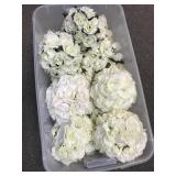 11 Lrg White Rose Heads