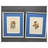 Vintage Framed Botanical Floral Art Prints