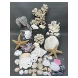 Collection Of Large Corals, Starfish & Shells