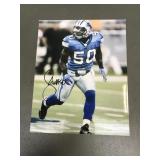 Stephen Tulloch Detroit Lions Linebacker Signed