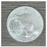 2010 Silver American Eagle 1oz Fine Silver