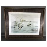 Framed Mallard Ducks Signed Art Print