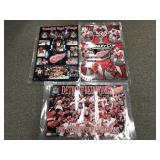 Detroit Red Wings Stanley Cup Champions Posters