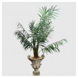 Artificial Areca Palm Tree, Neoclassical Planter