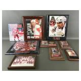 Detroit Red Wings Steve Yzerman Framed Sports
