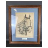 Framed 1950's Photograph To Pencil Horse Drawing