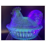 Glowing Manganese Westmoreland Blue Hen On Nest