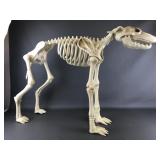 Durable Plastic Skeleton Halloween Dog