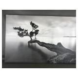 Water Tree Canvas Art Print By Moises Levy
