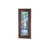 Under the Falls Wall Mural Glass Framed Art