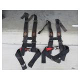 set of 2 Dragonfire racing car seat belts
