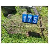 have a heart trap racoon size