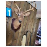 10pt buck mount