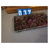 tray and pinecones