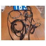 Halter and bridle silver plate