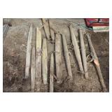 Whipple Tree Collection