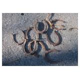Hand Forged Horseshoes & Cross Cut Saw