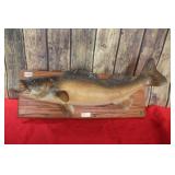 Vintage  Fish Wall Art