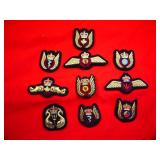 CF BADGE LOT