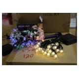 String Lights (220)