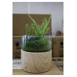 Plants (120)