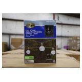 String Lights (228)