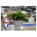 Plants (750)