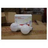 2pk Bulbs (1088)