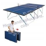 Ping Pong Table (8)