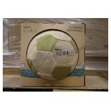 Soccer Balls (144)