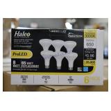 6pk Bulbs (196)