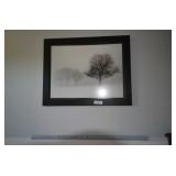 Framed Photo
