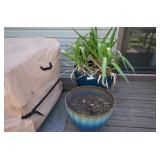 Plant and flower pot