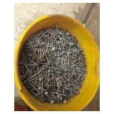 Bucket full of Roofing Nails
