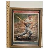 Framed Ted Williams Magazine Page