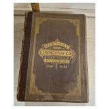 1881 History of Livingston Co. New York Book -