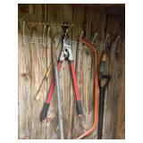 Saws, pruners, right side shed contents