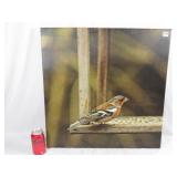 Large Chaffinch Bird Print