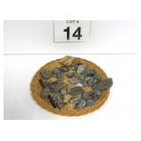 Group Of Fossil Rocks