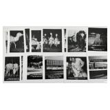 1941 RINGLING BROS. CIRCUS TRU-VUE STILL PHOTOGRAP