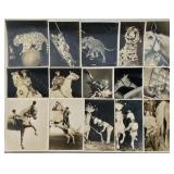 CIRCUS PHOTOGRAPH COLLECTION