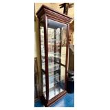 LIT CURIO CABINET