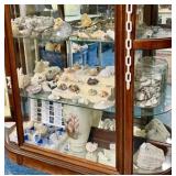 THREE SHELVES OF SEA FINDINGS