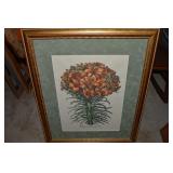 Lilium Cruentum Polyanthos Framed Floral Plate