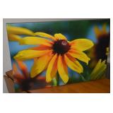 Contempo Stretched Canvas Flower Wall Art 24x16