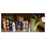 Garage Shelf Contents Lot: Liquids, Watering Can+
