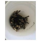 Bucket Of Lag Bolts