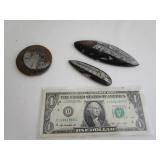 Orthoceras/Ammonite Fossils