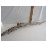 Driftwood