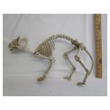 Halloween Skeleton Cat
